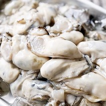 100% 산지 통영 바다장어 전복 가리비 새우 멍게, 1팩, 생굴500g