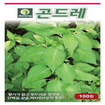 다농원예가든 곤드레(고려엉겅퀴)100립