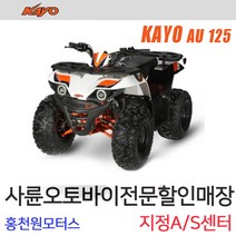 카요 AU125 ATV 바이크/제설 사발이 농업용/농사용 홍천원모터스 4륜오토바이 정비, 1개