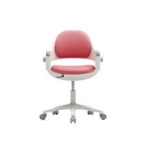 까사미아 링고체어 고정형(발받침미포함)(컬러 택1), 민트