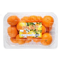 카라향 2KG