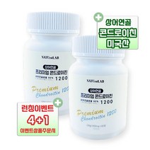프리미엄 콘드로이친 1200 상어연골 콘트로이친 콘드로이틴 뼈 연골 무릎 관절, 03. 3박스 x 60정 (3개월분)