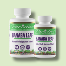 파라다이스 바나바잎 추출물 BANABALEAF 파라다이땡 코로솔산 고약사, 선택3. (할인) 180캡슐 X 2통