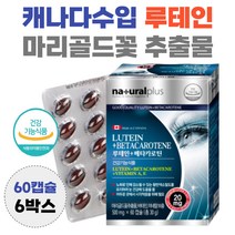 캐나다산 루테인 ptp 포장 마리골드꽃 추출물 lutein 누테인 황반 영양공급 흐릿 침침 뻑뻑 효능 남자 여자