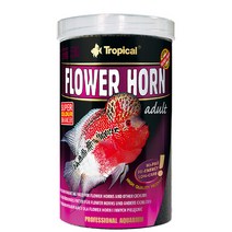 트로피칼 본사-플라워 혼 Young tin 1000ml 380g 전용사료 프로디펜스, 1개