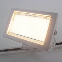 레일조명 LED 투광기 레일등 30W SS, 투명/전구색
