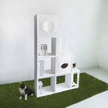 더크린 DIY 캣타워책장 4계단, 화이트_화이트