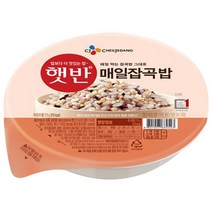 CJ제일제당 햇반 매일잡곡밥 210g x 48개, 없음