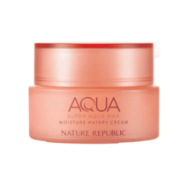 슈퍼 아쿠아 맥스 모이스처 수분크림 80ml [건성용], 단일옵션 NF0031