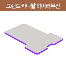 에어박스 그랜드카니발하이리무진 차량 매트 8cm, 단품