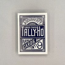 보드엠팩토리 바이시클 탈리호 블루 투명 트레이 세트