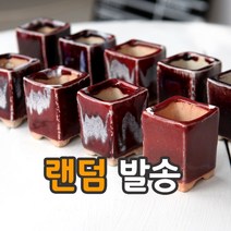[인아트스튜디오] 미니 사각콩분랜덤발송 (레드계열) - 토어도예 수제 다육 콩분 예쁜 잎꽂이 사각 다육 베란다 개업 특이한 선물 화이트그리니 라울 TMini 사각형