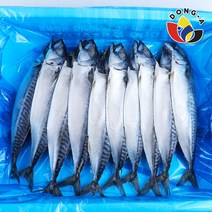 동아푸드 노르웨이 간고등어 5손 소 10마리 1.9kg, 1개