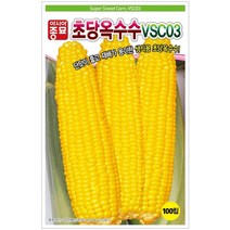초당 옥수수씨앗 VSC-03 아시아종묘 햇종자 100립 (사은품증정), 초당옥수수씨앗 VSC-03 2000립, 1개