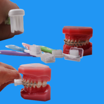 바른이 미세모 교정칫솔(S-2750)10개 교정용칫솔 치아교정칫솔, 바른미세모칫솔10개