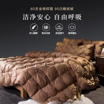 거위털 이불 유색 구스 다운 럭셔리 호텔 침구 다운, 1.8x2.2m 춘추이불/2500g중량_브라운/구스이불