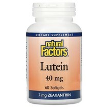 Natural Factors 루테인 지아잔틴 함유 효능 눈에 좋은 영양제 40mg 소프트젤 60정