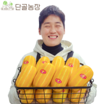 산지직송 스테비아급 고당도 성주 참외, 가정용 / 1kg / 중과 / 3~5과 내외