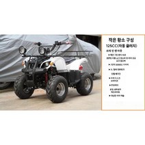 ATV 4륜 오프로드 125cc 4WD 무단 자동 변속기 산악 사발이 비포장 사륜 오토바이, 125cc 리틀불 ATV 구성1