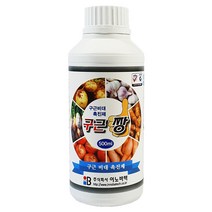 마늘 양파 고구마 무 감자 구근 뿌리 비대제 전용 비료 생리활성