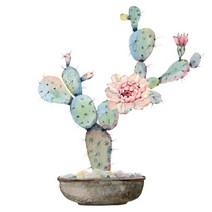 원단킹 DTP컷트지]워터컬러선인장-6(a2117)