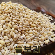 밥보야 22년산 국산 늘보리 늘보리쌀 1kg, 1개