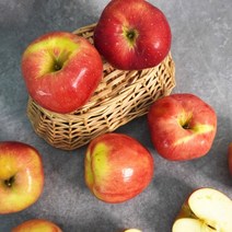 [더조은] 아리수 사과 가정용 2kg 10-13과, 없음