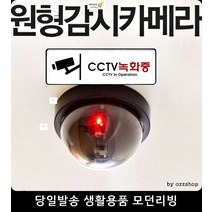 방범용카메라 방범 도어경보지 모형CCTV 창문 잠금장치 cctv작동중 보안용품, 모형감시카메라