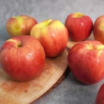 [더조은푸드] 새콤달콤 경북 햇 홍로 사과 (실속형) 10kg, 1박스, 경북 햇 홍로 사과 (실속형) 10kg 44-47과