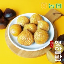 프레시데이 [농협] 토실토실 햇밤 순창 알밤 특대 10kg (제수용), 1
