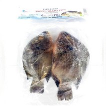 블랙 틸라피아 2미 900g 베트남 생선 역돔, 1개, 단품