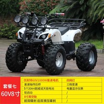 ATV 레저용 사륜바이크 오토바이 4륜구동 짐운반 농업용 네발바이크 소형 산악, 7개 세트/60V1000w/20AH/8인치/