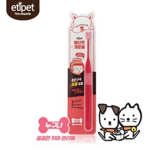 중형견용 입안 구석구석 어금니 칫솔 2개 입냄새원인