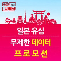 일본유심 소프트뱅크 무제한 데이터 심카드 공항수령, 택배수령, 1. 프로모션-매일 500MB {30일}