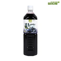 차그림 쥬스베이스 블루베리원액 1000ml, 1