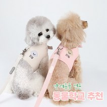 리토가토 러비 커스텀 캐릭터 강아지 하네스 핑크 (컴퓨터 자수) 동물학교 추천, 민트