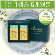 프리미엄 브라질 그린 프로폴리스 아연 비타민C 인정받은 플라보노이드 1일 1캡슐 선물용 포장 세트 환절기 20대 30대 선물 내돈내산 후기 추천 판매처 구입처 구매 구입 포르폴리스