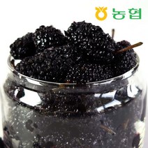 [프레시데이] [농협] 장성 홍길동 오디 냉동 생과 프리미엄 8Kg (1kgx8팩), 상세 설명 참조