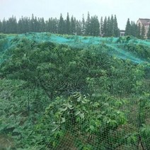 5x10m 조류 방지 그물망 과수 나무 작물 울타리 방조 참새 까치, 1개