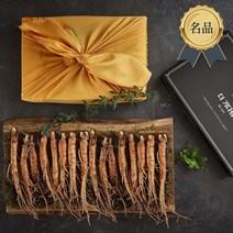 보나리빙 국산 산양 산삼 산양삼 수삼 선물세트 6년근 설 명절 선물 세트, 13. 금산 수삼 400g(14개~18개)