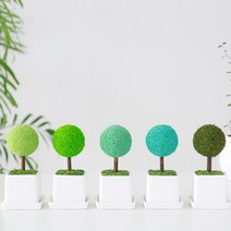 나무 가습 공기 키우기 식물 이끼 다무 실내 정화 20 color, 02.스프링그린