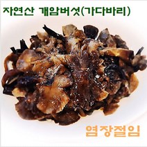 자연산 개암버섯(가다바리) 염장 10kg 벌크, 1개