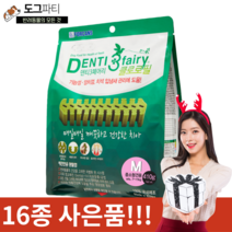 포켄스 덴티페어리 클로로필 410g SS S M + 16종 증정품 마음대로 고르기, 사은품 04, 클로로필 M (410g)
