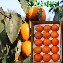 지리산 하동 대봉감 대봉시 5kg 10kg 자연 후숙 산지직송 감말랭이, 대봉감 10kg 곶감용 42-50과내외