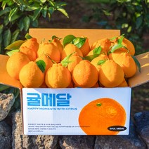 [당도선별] 제주 한라봉, 5KG (특대과)