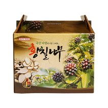 국내산 황칠나무즙 엑기스 진액 100ml 60포, 단품, 단품
