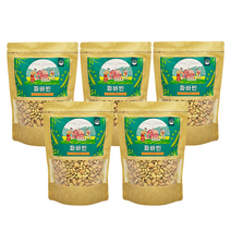 웰리즈 파바빈 잠두 식물성 단백질 콩 원물 500g, 5개