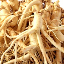 금산인삼도매센터 세척수삼 난발삼 원수삼 홍삼제조용 실속형파삼 4년근이상 생인삼 국내산100%, (세척)난발삼, 중750g