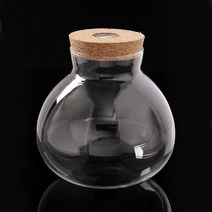 젠스토어 마리모 키우기 LED 유리병 반려식물 테라리움, 슈퍼컨슈머 본상품선택