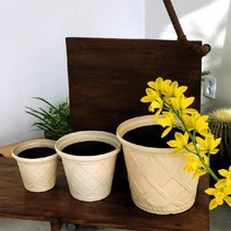 엔티크 인테리어 체크 플라스틱화분 17cm 식물클래스